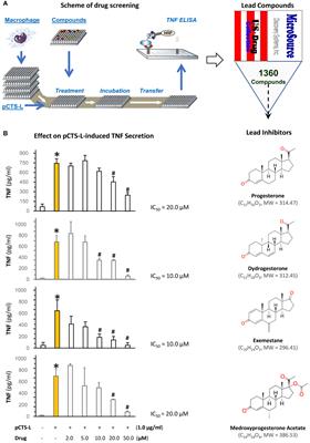 Therapeutic potential of procathepsin L-inhibiting and progesterone-entrapping dimethyl-β-cyclodextrin nanoparticles in treating experimental sepsis